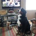 Kathy Barger - @Imkacy - Twitter