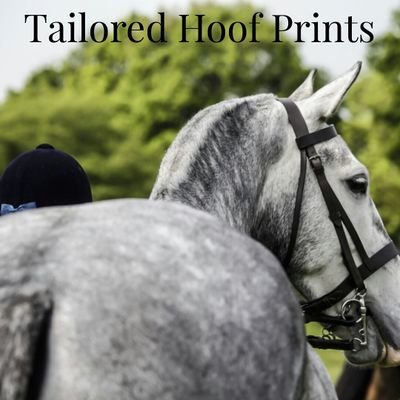 Lady Equestrian & Pet photographer ,
based in Essex uk x