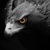 S.YİLDİZ (@zeyzafun) Twitter profile photo S.YİLDİZ (@zeyzafun) Twitter profile photo