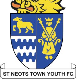 St Neots Town Youth Profile