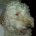 Donna Cohen - @TulaBean1 - Twitter