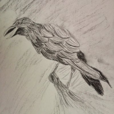 Crashtest1414's profile picture. 