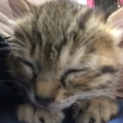 EvolJin0116's profile picture. 