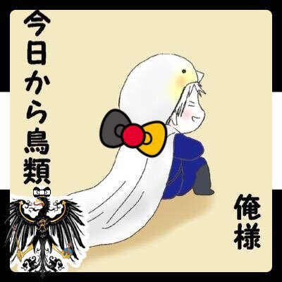 オカメ@鳥類さんのプロフィール画像