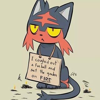 Grumpy cat is nothing like me. I spit fire. #MaleLitten #RP #TalkingLitten #TeamLitten