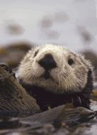 maxlorenzen's profile picture. 