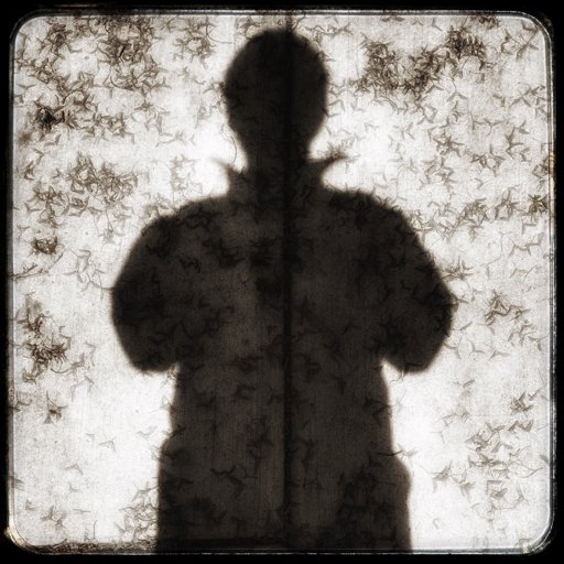 sciatro's profile picture. 