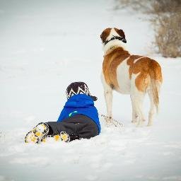 Dog Trainer Mama of two, and 3 pups! My blog is full of ideas to help keep dogs in homes safely with kiddos by providing helpful tips & real life experiences!