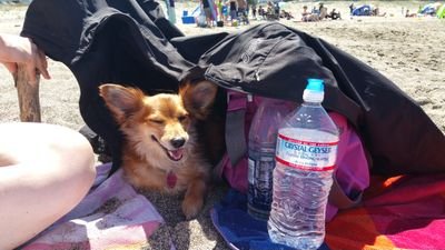 mcamack's profile picture. 