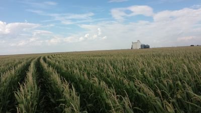 MonteThompson54's profile picture. #Jesus, farming, livestock, solar, common sense, organic fertilizer sales
Independent Amsoil Dealer