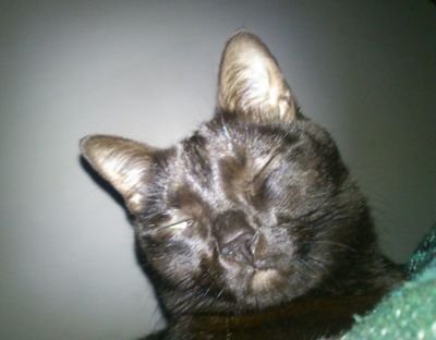 tsx76's profile picture. criado con valores que ya no se usan