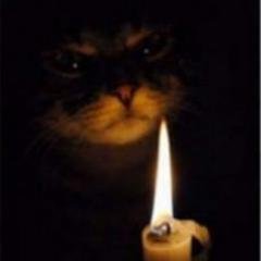 StraightBBBTing's profile picture. @stormzy get off me