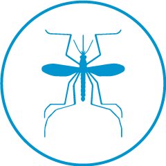 Dengue Control es tu guía en la prevención del dengue. Juntos trabajando por un mundo mejor. ¡Únete!