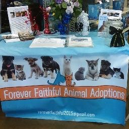 We are a  true no-kill non-profit 501c3 animal rescue. We are an all volunteer organization with no paid staff members.