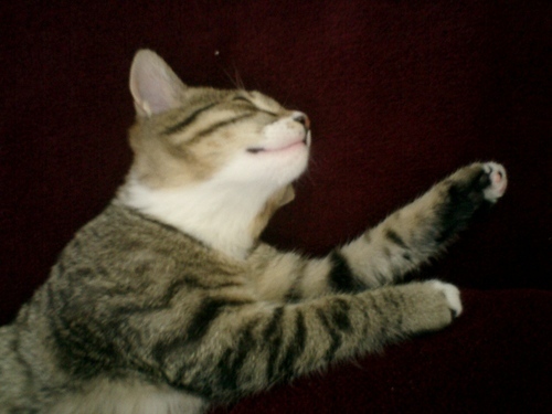 nur