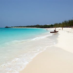 Tretops51's profile picture. Live every day like it's your last!