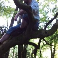 micheal kavanagh (@fleamicheal) 's Twitter Profile Photo