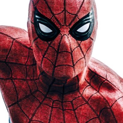 ❝Your friendly neighborhood Spider-Man, here! I'll swing around the city to stop those dummies. Y'know, the usual.❞ 【Carol's hot..】