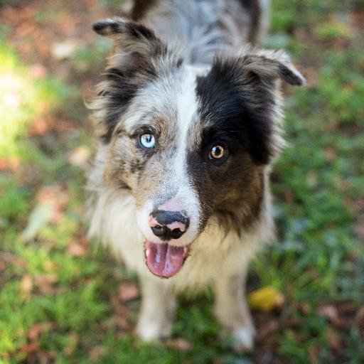 EVMphoto's profile picture. Photography and other stuff!