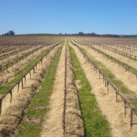 Will Holmes (@woodbridgefarms) 's Twitter Profile Photo Will Holmes (@woodbridgefarms) 's Twitter Profile Photo