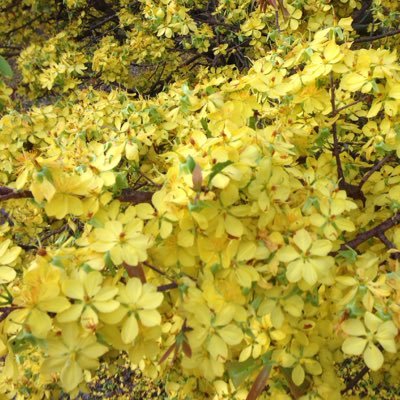 gaitran63's profile picture. Tin tức