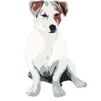 The White Bear (@thewhitebearsb) 's Twitter Profile Photo The White Bear (@thewhitebearsb) 's Twitter Profile Photo