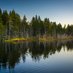 New England Forestry (@neforestry) Twitter profile photo New England Forestry (@neforestry) Twitter profile photo