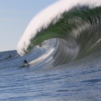 Jamie Mitchell (@jamiemitcho) 's Twitter Profile