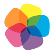 publilia's profile picture. 