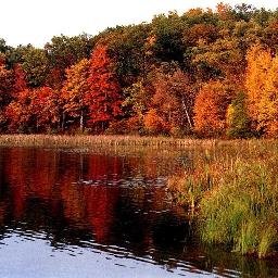 Ziadghaly5's profile picture. 