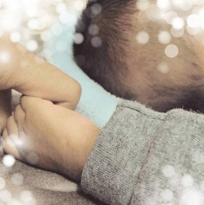 luisitoimma's profile picture. #Reds #LFC #YNWA #Freepalestine