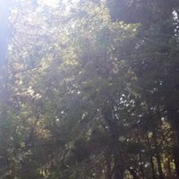 Mark Ericsson (@tinyurltweets) Twitter profile photo