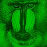greenbaboon_'s profile picture. #LOL