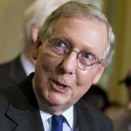 MitchAndTurtles's profile picture. Every day, once a day, I suggest a new band name for turtle-based Senate Majority Leader Mitch McConnell.