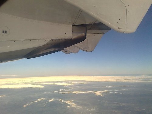 alex_andreSGRS's profile picture. single