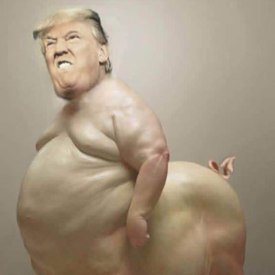 OHS_heat's profile picture. Roasting everyone