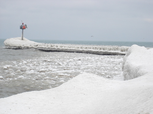 cubby3180's profile picture. 