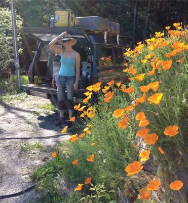 SGrindon's profile picture. 