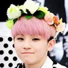 I live for woozi. mark carpio