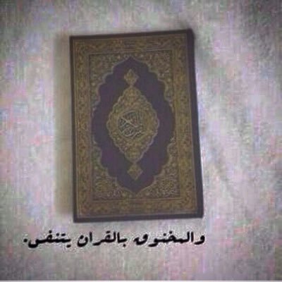 511Rioody's profile picture. 