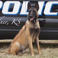 Gardner Police Dept (@gardnerkspolice) 's Twitter Profile