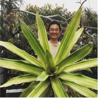 Kei's Bromeliads & 柏諏訪神社(@KBromeliads) 's Twitter Profile Photo