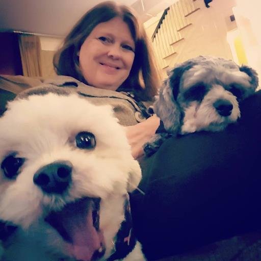 iamlisad's profile picture. I love kids, dogs, cats a little, old houses, old people who aren't cranky, travel, generosity, wine, Jesus, and people who are quirky. Charitable Fundraising.