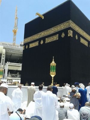 SyedBilalAhma13's profile picture. 