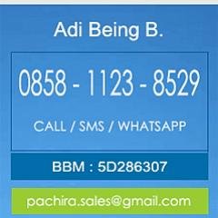 Pachira Aqua5cape On Twitter Montecarlo Media Cup Tanaman Karpet