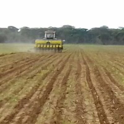 luchador del campo venezolano