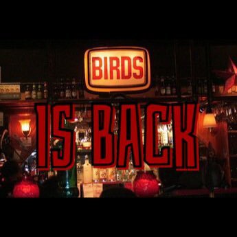 birds is back. follow for updates when birds is back. tweet @birdsisback when #birdsisback