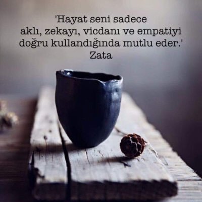 vkyilmaz06's profile picture. 