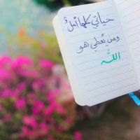 ✨ ✨ (@fofo34576912) 's Twitter Profile Photo