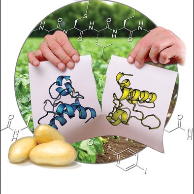 Twitter account for Brimble Lab organic synthesis and peptides research at The University of Auckland | student run